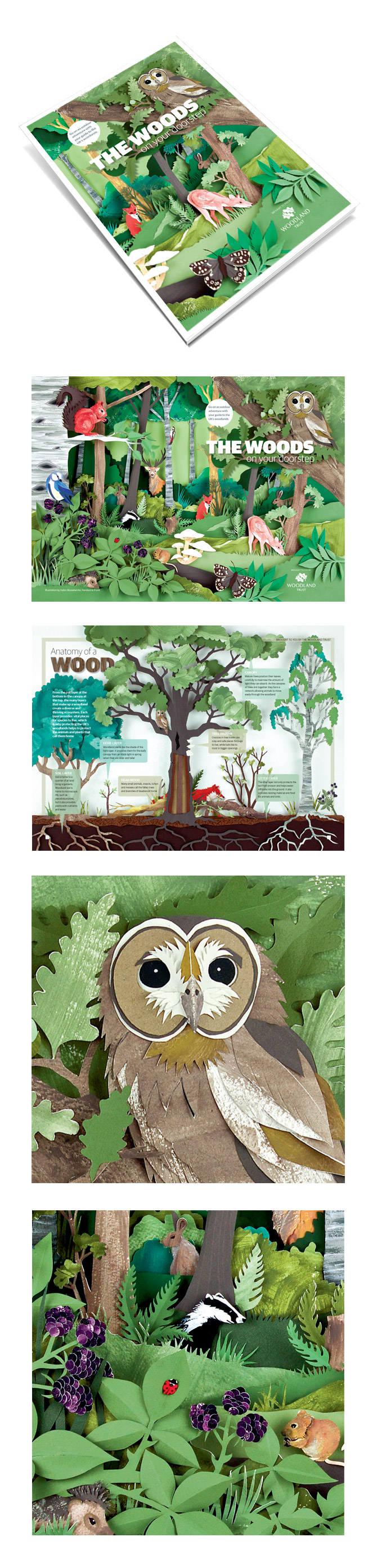 Woodland Trust